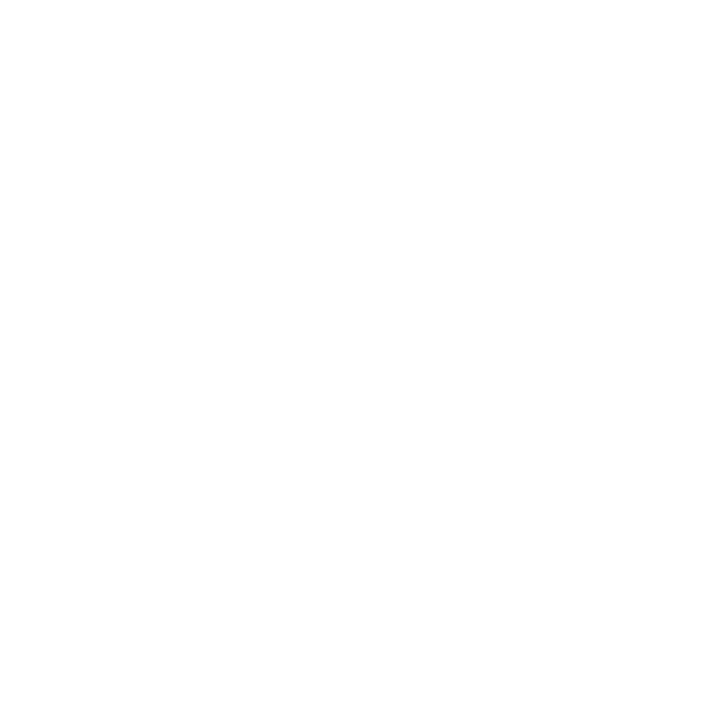 Zona 08